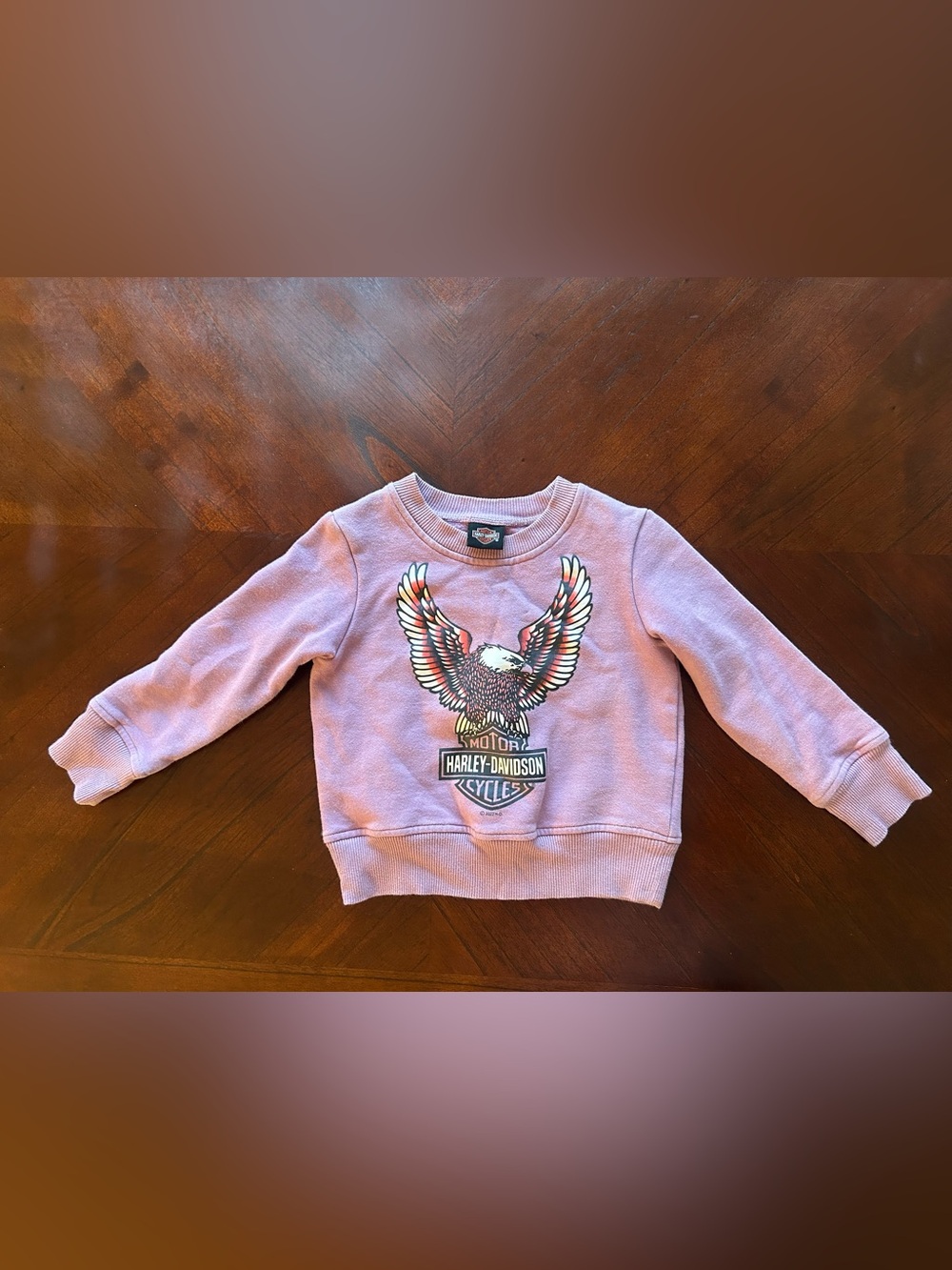 Harley-Davidson Light Pink Kids Sweatshirt with Eagle Logo size 6-6x